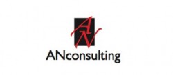 AN CONSULTING
