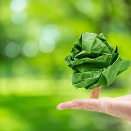 Artigo Two Sides América do Norte discute: eliminar o papel é melhor para o meio ambiente?