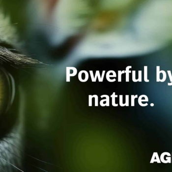 FESPA Barcelona: Agfa leva linha de impressão inkjet